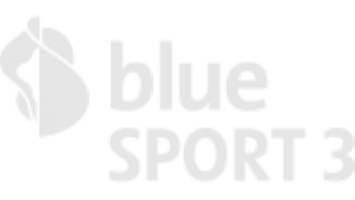 Blue Sport 3 CH logo