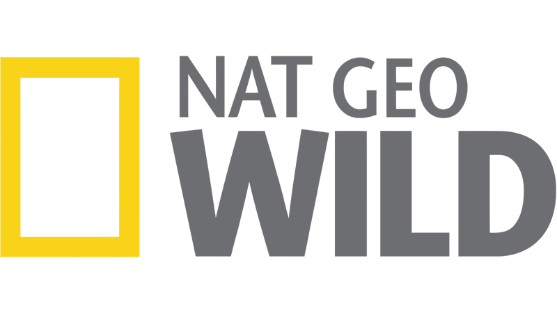 channel logo