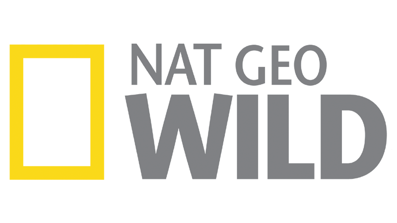 channel logo