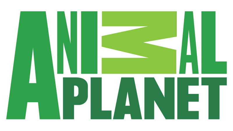 channel logo