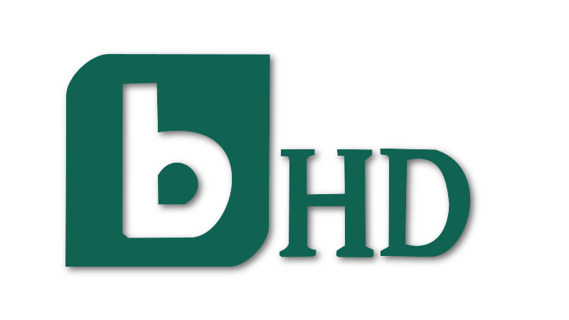 bTV HD channel logo