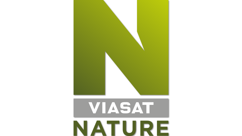 channel logo