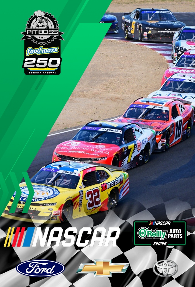 Pit Boss/FoodMaxx 250