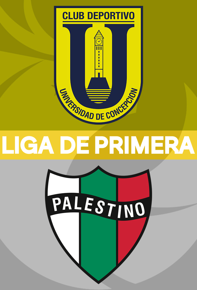 Universidad de Concepción vs Palestino