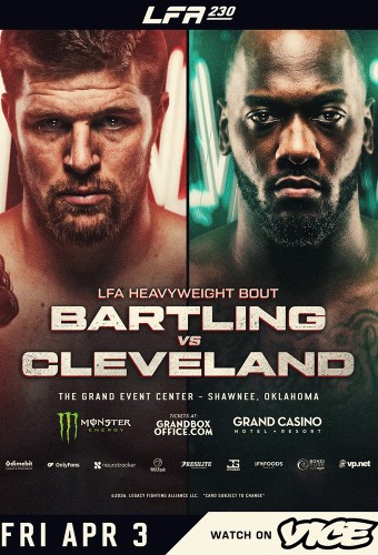 poster thumb