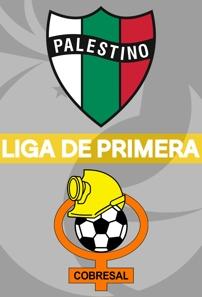Palestino vs Cobresal