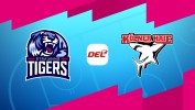 Straubing Tigers vs Kölner Haie thumbnail artwork