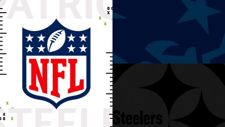 Pittsburgh Steelers vs Minnesota Vikings