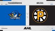 Springfield Thunderbirds vs Providence Bruins thumbnail artwork