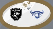 Sharks XV vs Blue Bulls thumbnail artwork