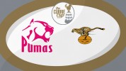 Pumas vs Free State Cheetahs thumbnail artwork