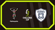 Harlequins vs Vannes thumbnail artwork
