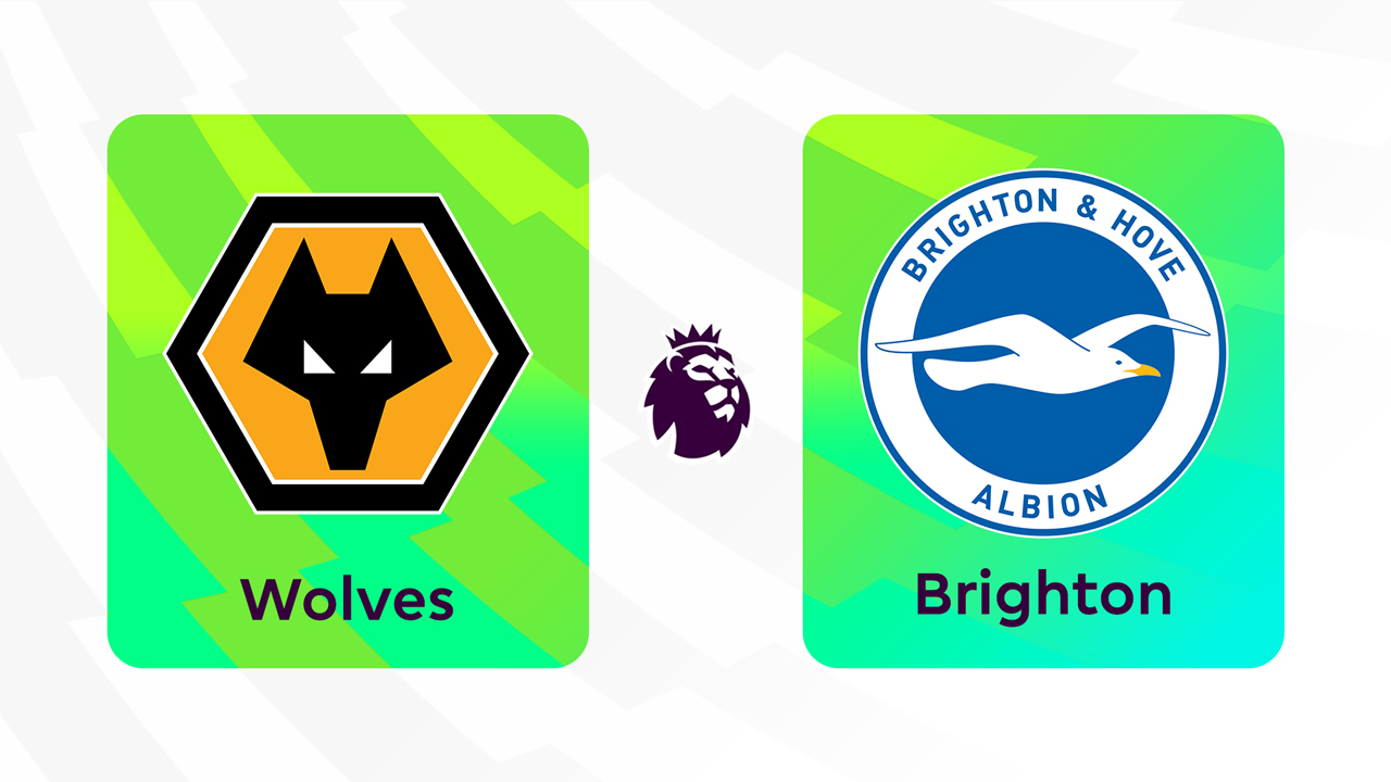 Kamp for Wolverhampton Wanderers vs Brighton and Hove Albion