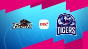 Augsburger Panther vs Straubing Tigers thumbnail artwork