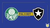 Palmeiras vs Botafogo thumbnail artwork