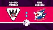 HC Fribourg-Gottéron vs Adler Mannheim thumbnail artwork