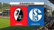 Freiburg vs Schalke 04 thumbnail artwork