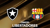 Botafogo vs Barcelona SC thumbnail artwork
