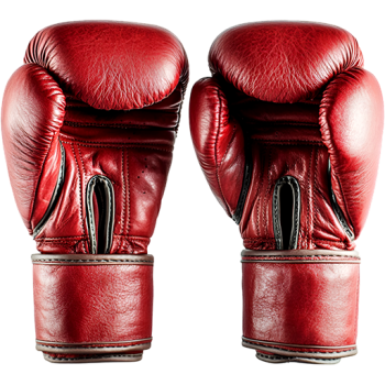 RCC Boxing Night