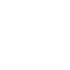 FC Copenh 
