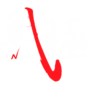 Soul of FIght