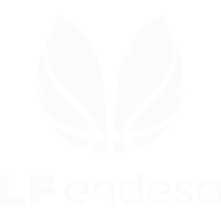 Spanish Liga Femenina de Baloncesto