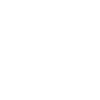FSV Frank 