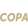 Supercopa de Costa Rica badge