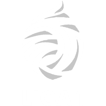 League Badge