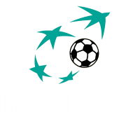 https://r2.thesportsdb.com/images/media/league/badge/raduqp1589303531.png/small