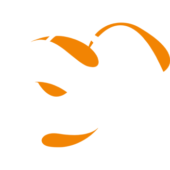 League Badge