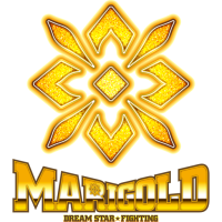 League badge