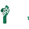 tiny league badge icon