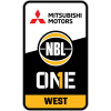 team badge