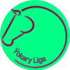 team badge