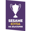 team badge