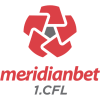 team badge