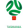 team badge