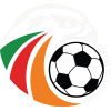 team badge