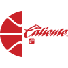 team badge
