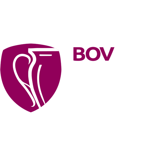 League old badge icon