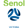 team badge