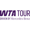 Player Team Badge