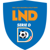 team badge