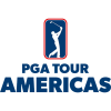 team badge