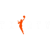 team badge