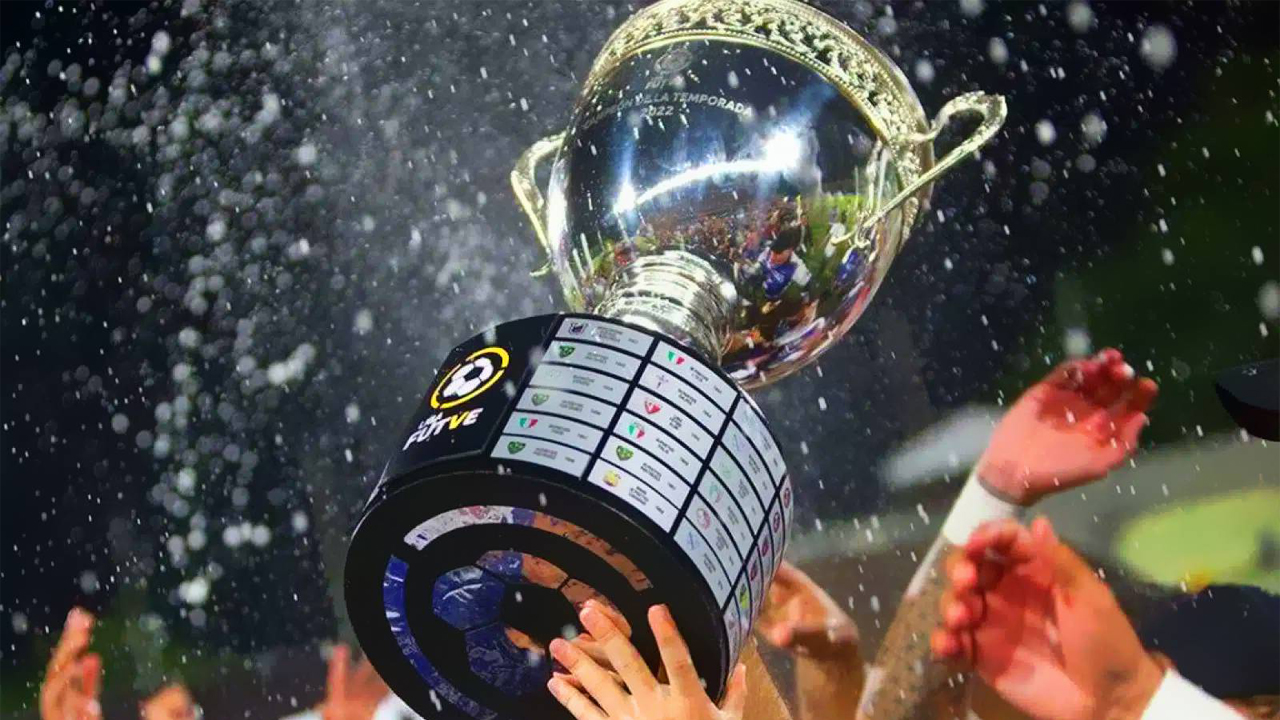 Venezuela Primera Division 聯盟圖片