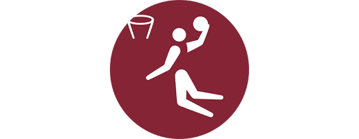 Team logo
