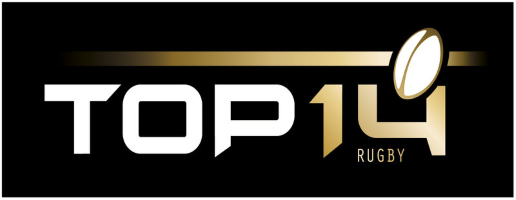 Team logo