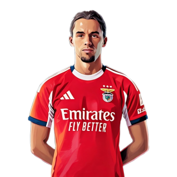Amar Dedić player cartoon